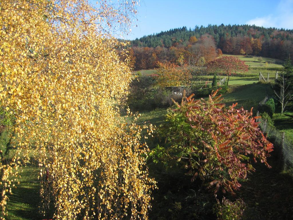 Ferienwohnung Panorama Rauenstein Exterior foto